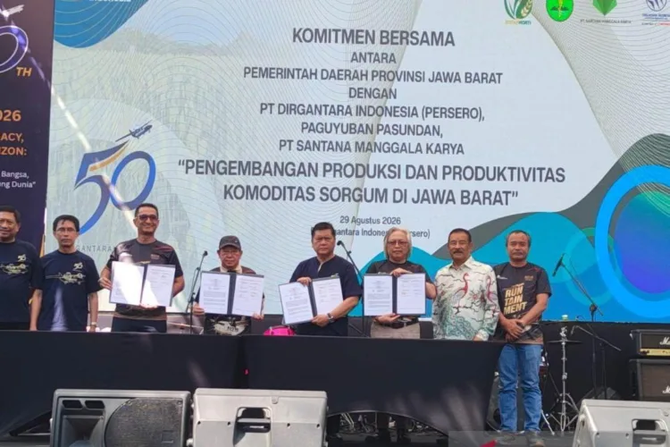 Pemprov Jabar dan PTDI Sepakati Kerja Sama Pengembangan Sorgum 50 Hektare 1 Penandatanganan MoU mekanisasi sorgum antara PTDI, Pemprov Jabar, Paguyuban
Pasundan, perusahaan offtaker PT Santana Manggala Karya di sela puncak HUT Ke-50
PTDI di Kompleks PTDI Bandung, Jawa Barat, Sabtu (29/8/2026). (ANTARA/LINGKAR NETWORK)