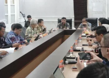 Tingkatkan Kapasitas Listrik, Pemkab Garut dan DEN Genjot Energi Panas Bumi