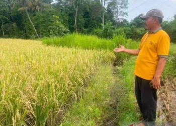 Optimalisasi Irigasi, Pemkab Kuningan Kelola Sumur JIAT Senilai Rp1,48 Miliar