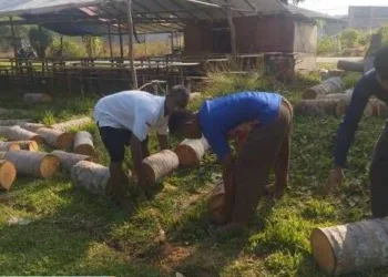 Sambut HUT Desa ke-18, Pemerintah Desa Candi Gelar Aksi Jumat ASRI dan Gotong Royong Massal