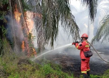 BMKG mendeteksi 1.104 hotspot di Sumatra pada 22 Agustus 2026, sementara karhutla di Riau telah membakar lebih dari 700 hektare.