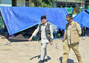 Kemenko PMK meminta pemda di NTT segera membentuk satgas daerah untuk mempercepat koordinasi, distribusi bantuan, dan pemenuhan kebutuhan dasar pengungsi.
