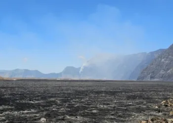 Karhutla Bromo mulai terlokalisasi, satu titik api di Dingklik, Pasuruan, masih sulit dipadamkan.