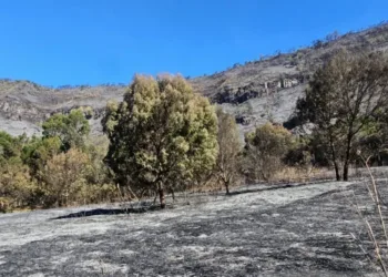 Sebanyak 2.056 wisatawan ajukan refund tiket setelah penutupan total seluruh akses masuk kawasan Gunung Bromo akibat kebakaran.