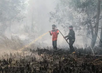 BNPB mendeteksi 1.487 titik panas di Kalimantan, kabut asap karhutla mulai mengganggu penerbangan.