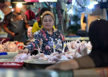 BPS meminta Pemda mewaspadai tren kenaikan harga daging ayam ras di 188 daerah agar tidak terus melonjak melampaui Harga Acuan Penjualan (HAP).