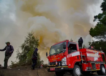 Karhutla di kawasan Gunung Bromo meluas hingga 60 hektare, medan terjal dan angin kencang hambat pemadaman.