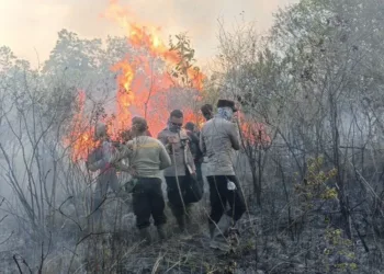 Presiden Prabowo meminta Taman Nasional Way Kambas menjadi prioritas penanganan karhutla setelah ditemukan hotspot demi melindungi habitat gajah Sumatra.