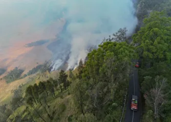 BNPB menyiapkan Operasi Modifikasi Cuaca (OMC) dan helikopter water bombing untuk mempercepat pemadaman karhutla Gunung Bromo.
