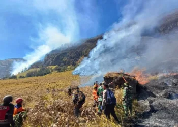 Karhutla Gunung Bromo meluas hingga menjalar ke arah Kabupaten Malang, sebanyak 150 personel gabungan berjibaku memadamkan api.