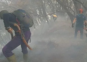 Kebakaran lahan di kawasan Gunung Gede Pangrango berhasil dipadamkan, jalur pendakian ditutup sementara hingga 11 Agustus 2026.