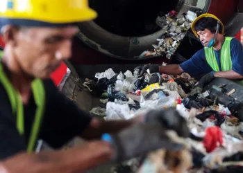 Anggota DPD Dailami Firdaus mendorong Pemprov DKI membentuk BUMD khusus pengolahan sampah untuk meningkatkan PAD.