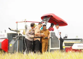 Panen Padi di Banten Tembus 12,88 Ton per Hektare Berkat Teknologi PM-AAS