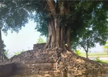 Sah! Bupati Jember Tetapkan Menhir Duplang hingga Candi Deres Jadi Cagar Budaya