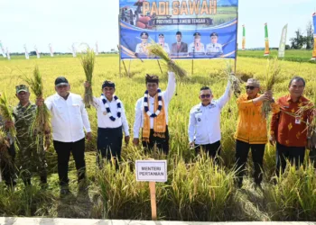 Gubernur Sulteng Anwar Hafid, Menteri Pertanian RI Andi Amran Sulaiman, dan seluruh jajaran, dalam agenda Panen Raya Padi dan Tanam Padi metode PM-AAS di kawasan lumbung pangan dataran Toili, Kabupaten Banggai, Kamis (10/9/2026). Anwar Hafid juga memaparkan upaya Pemprov untuk melakukan penguatan Brigade Pertanian. (Lingkar.news Network)