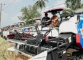 Gubernur Sulawesi Tengah Anwar Hafid ikut terjun dalam Gerakan Percepatan Panen Padi “Berani Panen Raya” di Desa Rusa Kencana, Kecamatan Toili Raya, Kabupaten Banggai, Selasa (29/9/2026). Pemprov Sulteng menggenjot modernisasi pertanian lewat Brigade Alsintan. (Lingkar.news Network)