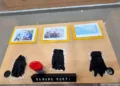 Tes DNA Identik, Jenazah ABK KM Arupadhatu I yang Ditemukan di Enggano Dipulangkan ke Banten 3 Hasil tes DNA memastikan jenazah yang ditemukan di Pulau Enggano merupakan ABK KM Arupadhatu I, Sukarman, dan akan dipulangkan ke Banten.
