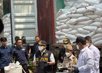 Bea Cukai membongkar 30 kontainer dari India yang diberitahukan sebagai bahan kimia, tetapi ternyata berisi ratusan ton beras dan garam ilegal.