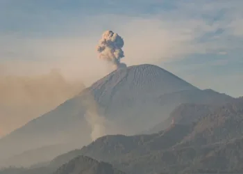 Gunung Semeru erupsi dengan kolom abu 500 meter, Badan Geologi melarang aktivitas warga hingga radius 13 km dari puncak.