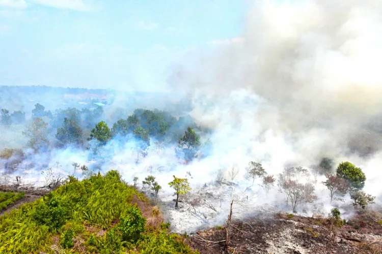 Kemenhut menyiapkan DAK Rp5,5 miliar untuk memperkuat penanganan karhutla Kalbar melalui operasi udara, darat, pembasahan gambut, dan pencegahan.