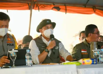 Menhut Raja Juli Antoni mencabut izin lima perusahaan di Kalimantan terkait pelanggaran karhutla, total konsesi perusahaan mencapai 92.464 hektare.