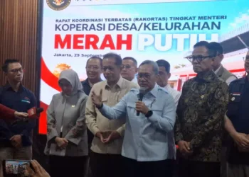 Menko Pangan Zulkifli Hasan memastikan manajer KDKMP yang mundur karena penempatan tidak dikenai sanksi, sementara pemerintah menyiapkan solusi.