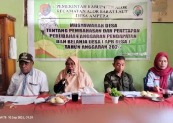 Kepala Desa, BPD, Pendamping Desa, dan Pendamping Lokal Desa.