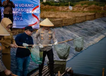 Polda Metro Jaya panen 10 ton ikan dan udang di Muara Gembong, Bekasi, serta 4.000 telur untuk mendukung rantai pasok bahan baku SPPG.
