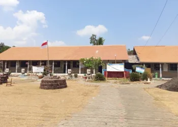 Revitalisasi 258 sekolah di Jember dengan anggaran Rp187,38 miliar melibatkan sekitar 5.160 tukang dan asisten tukang serta menggerakkan usaha lokal.