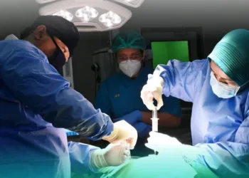 Kemenkes mengupayakan transplantasi sumsum tulang masuk pembiayaan JKN oleh BPJS Kesehatan karena biaya mencapai sekitar Rp1,2 miliar.