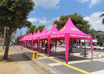 Bupati Jember Gus Fawait ingin warna pink menjadi branding Jember yang bertahan lintas kepemimpinan, bukan sekadar identitas pemerintahannya.