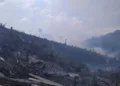 Biang Kerok Kebakaran Hutan 60 Hektare di Sigi Terungkap, Ada Warga Kelola Pohon Damar!
