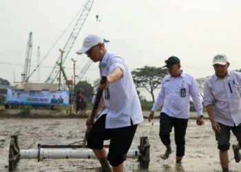 Panen Padi Melonjak! DKPP Serang Terapkan Pertanian Modern 500 Hektare