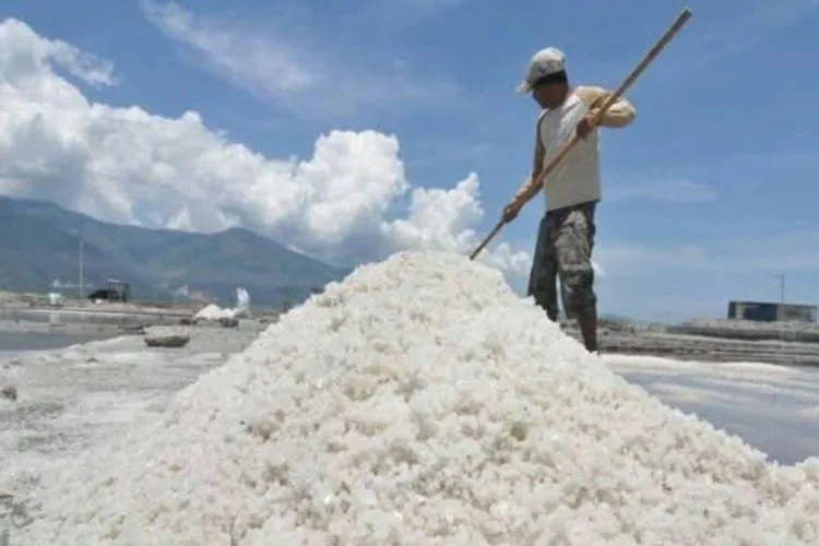Topang Hidup 12.000 Jiwa, Garam Bima Mulai Bidik Pasar Industri Nasional 1 Petani memanen garam di salah satu tambak garam di Kabupaten Bima, Nusa Tenggara
Barat. Produksi garam Bima mencapai 119.311,24 ton pada 2025 dan menjadi salah
satu komoditas potensial untuk dikembangkan melalui hilirisasi. (ANTARA/LINGKAR NETWORK)