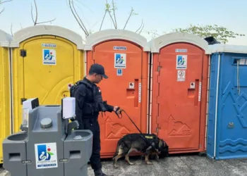 Sterilisasi MotoGP Mandalika 2026 dari Bahan Peledak, 6 Anjing Pelacak Sisir Sirkuit