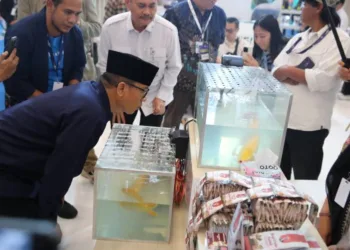 Mendes PDT Yandri Susanto berkeliling di pameran UMKM dalam Trade Expo Indonesia 2026.