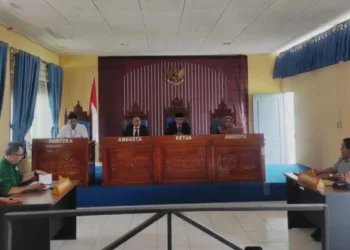 Sengketa Informasi, KI Sulteng Perintahkan DLH Banggai Buka AMDAL Nikel
