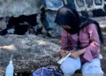 Mahasiswi Unram Ciptakan Sonora Marine, Bisa Cek Kondisi Perairan Pakai Smartphone