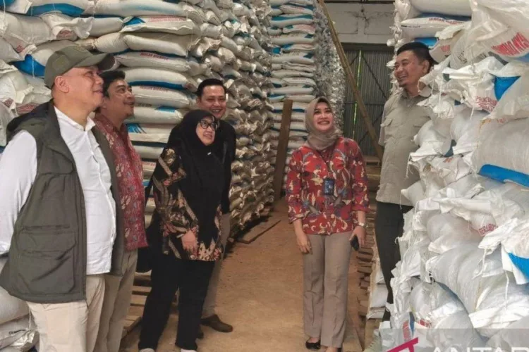 Pupuk Subsidi di Cianjur Aman hingga Maret 2027, Tebus Hanya Pakai KTP 1 Kepala Dinas Tanaman Pangan Hortikultura dan Perkebunan (DTPHP) Kabupaten
Cianjur, Jawa Barat Wahyu Ginanjar melihat langsung ketersedian stok pupuk
bersubsidi di Gudang Lini III Pupuk Indonesia di Cianjur, Selasa (13/10/2026).
ANTARA/LINGKAR NETWORK.