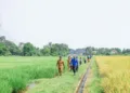 Antisipasi Gagal Panen, Pemkot Bogor Siapkan Asuransi untuk Petani pada 2027