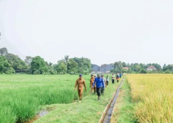 Antisipasi Gagal Panen, Pemkot Bogor Siapkan Asuransi untuk Petani pada 2027