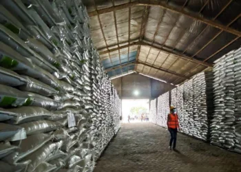Sambut Musim Tanam, Petrokimia Gresik Siapkan 443 Ribu Ton Pupuk Subsidi, Ini Rinciannya