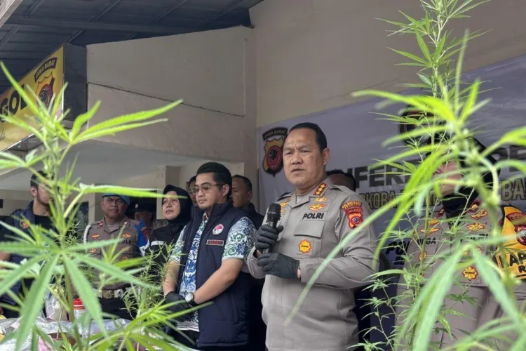 Kapolrestabes Bandung Kombes Pol Dedi Supriyadi saat ungkap kasus budidaya ganja
di Kota Bandung, Jawa Barat, Jumat (9/10/2026). (ANTARA/LINGKAR NETWORK)