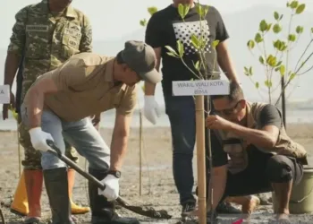 Wawali Feri Sofyan: Penanaman Mangrove di Bima Jangan Cuma Seremonial!