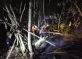 Penanganan lanjutan karhutla di Lore Utara oleh TRC PB BPBD Provinsi Sulawesi Tengah bersama tim gabungan. (Lingkar.news Network)