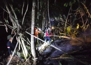 Penanganan lanjutan karhutla di Lore Utara oleh TRC PB BPBD Provinsi Sulawesi Tengah bersama tim gabungan. (Lingkar.news Network)
