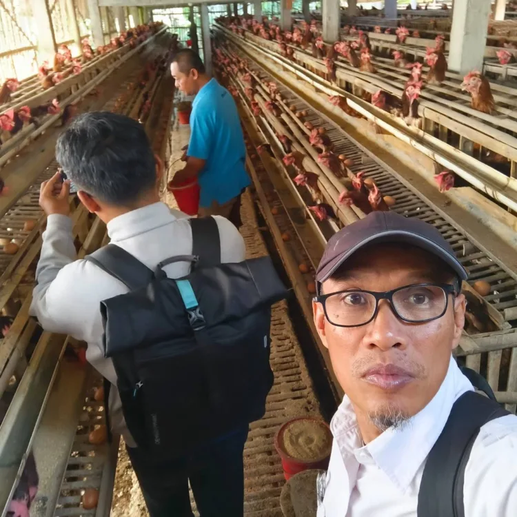 Program Ketapang Ayam Petelur Ngestiharjo Kulon Progo Genjot Ekonomi Warga 1 Pelaksanaan Kegiatan