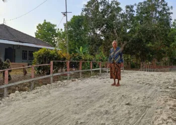 Welmince Kaseh Amnifu, nenek 77 tahun, menyisihkan sebagian BLT Dana Desa 2026 untuk memperbaiki jalan di depan rumahnya di Desa Soba, Kupang.