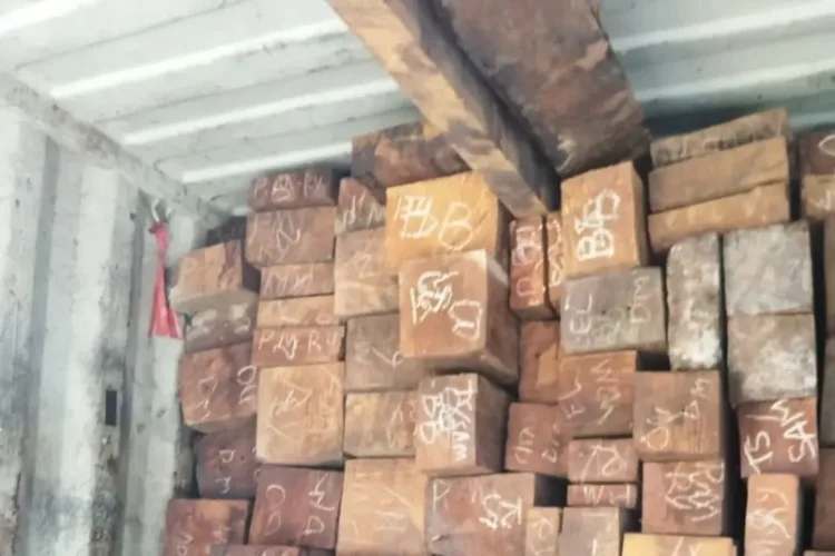 TNI AL Gagalkan Penyelundupan 23 Kontainer Kayu Merbau Ilegal Senilai Rp5,5 Miliar di Surabaya 1 TNI AL menggagalkan penyelundupan 23 kontainer kayu merbau ilegal senilai Rp5,5 miliar di Pelabuhan Tanjung Perak, Surabaya.