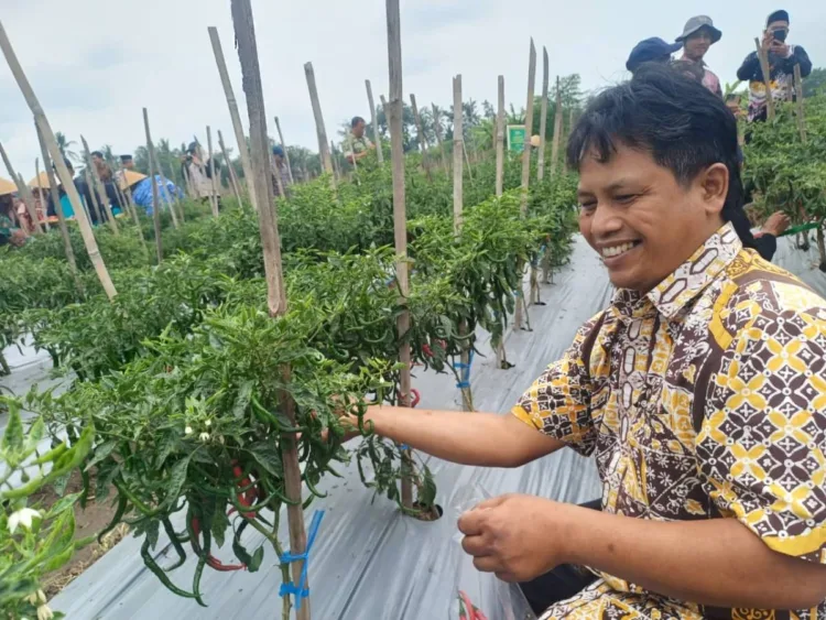 Panen raya hari ini merupakan bukti nyata keistimewaan DIY yang berdampak langsung pada kesejahteraan warga. Pemanfaatan Tanah Kas Desa melalui kelembagaan BUMKal Banyurejo membuktikan bahwa aset daerah jika dikelola dengan integritas dan inovasi mampu menjadi sumber kekuatan ekonomi masyarakat